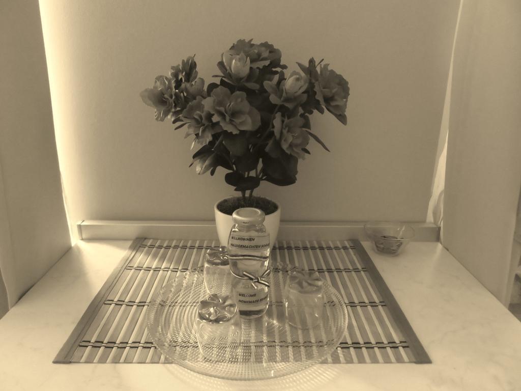 Apartment Barbara - Bojana Šibenik Cameră foto